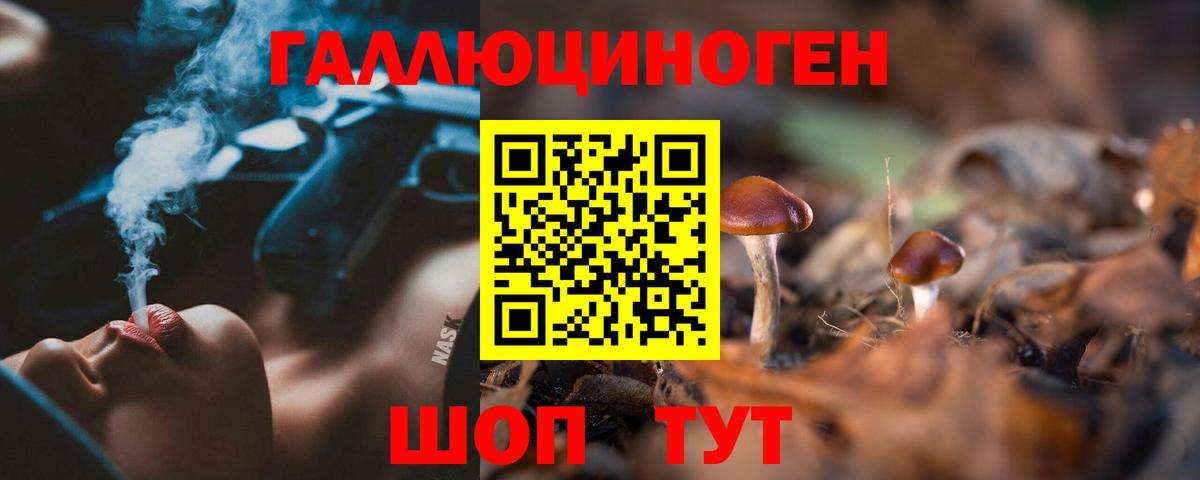 Галлюциногенные грибы прущие грибы  Вход с VPN  где найти   Кузнецк 